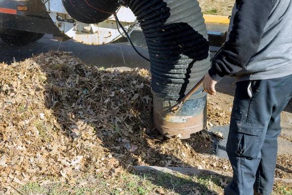 Top-Rated Septic System Service Near Me in Your Area