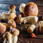 Understanding Product Labeling Rules for Cannabinoid and Mushroom Dispensaries