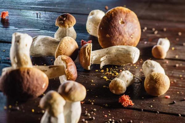 Understanding Product Labeling Rules for Cannabinoid and Mushroom Dispensaries