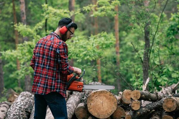Trusted arborist for Tree Inspection & Maintenance Services