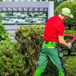 Expert Tree Care with Heald green tree surgeon for Every Property
