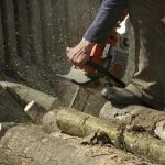 Fast Tree Removal Service Mobile with Affordable Pricing