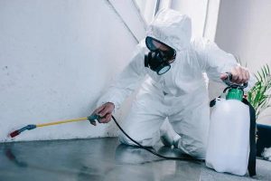 Patriot Pest Control for Trusted Local Pest Management