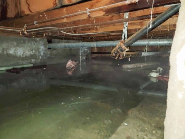 Insulation Company in Prince George Services for Energy-Efficient Homes