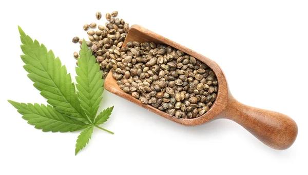 A Practical Overview of Hemp-Derived Cannabinoid Products